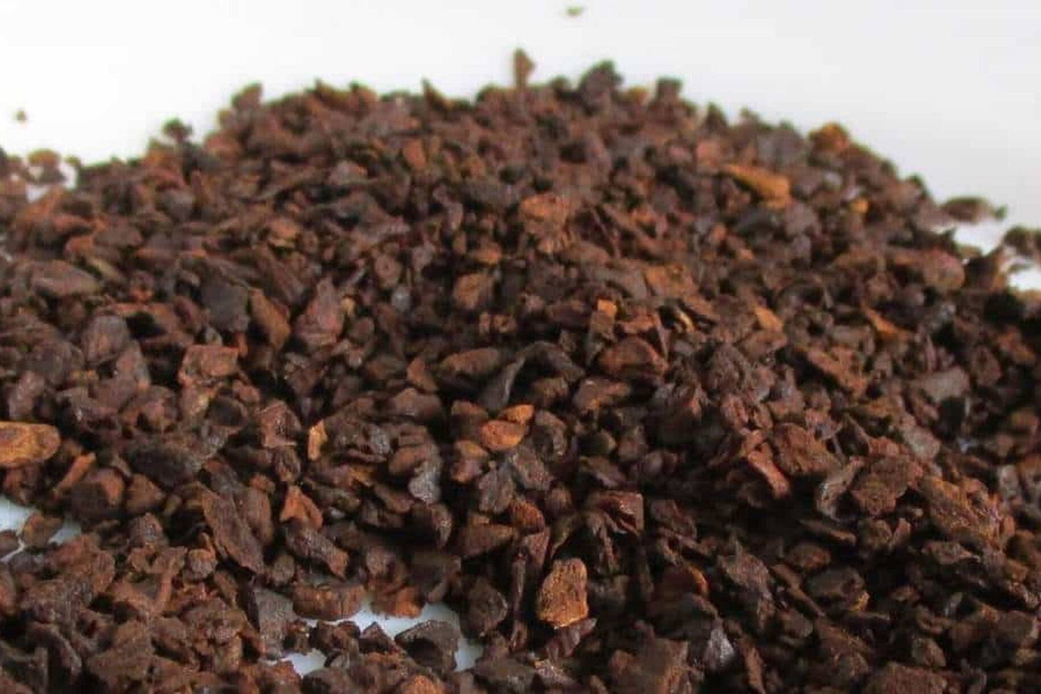 Caffè di cicoria: cos'è e quali sono le sue proprietà