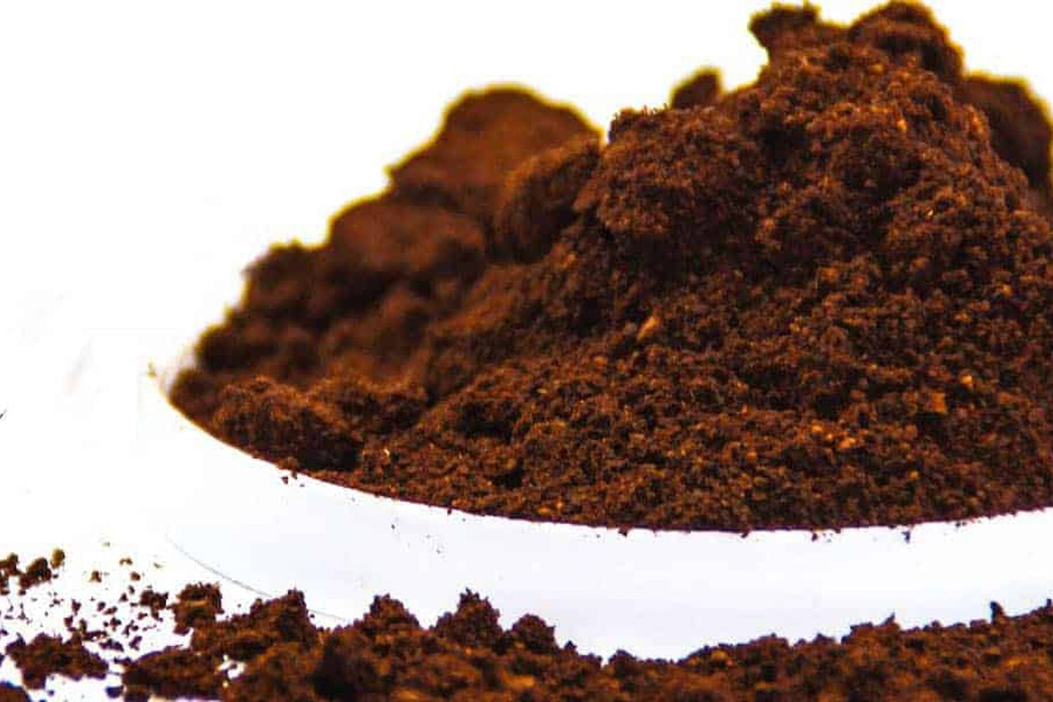 Caffeina come insetticida: come agisce contro gli insetti