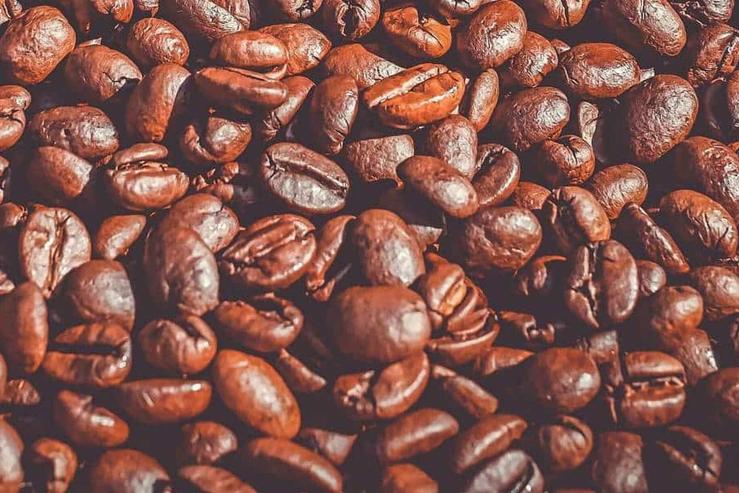 Fondi di caffè contro le lumache